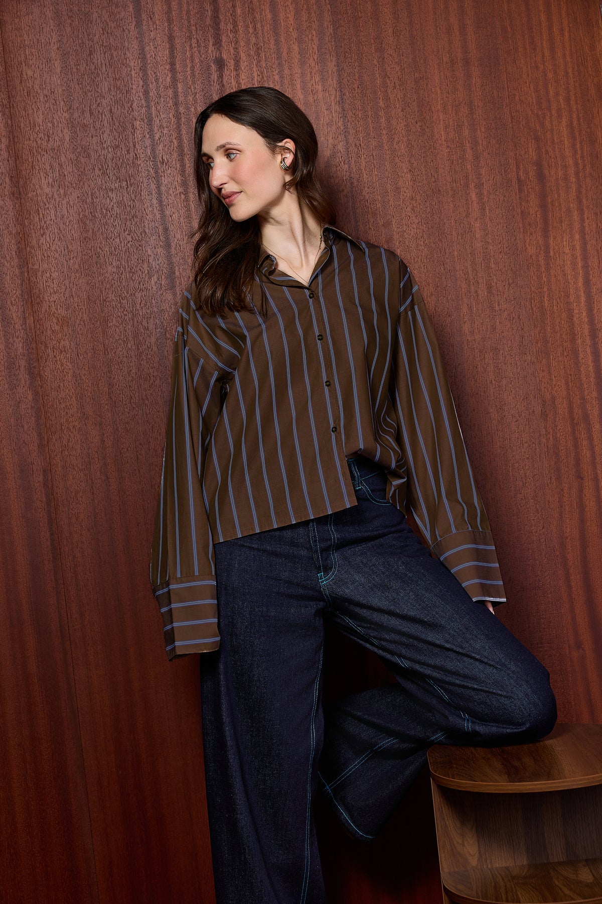 LA CAMISA CLASSIC BROWN